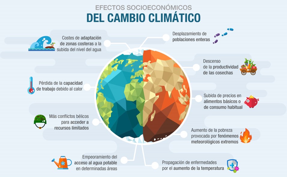 Imagen1