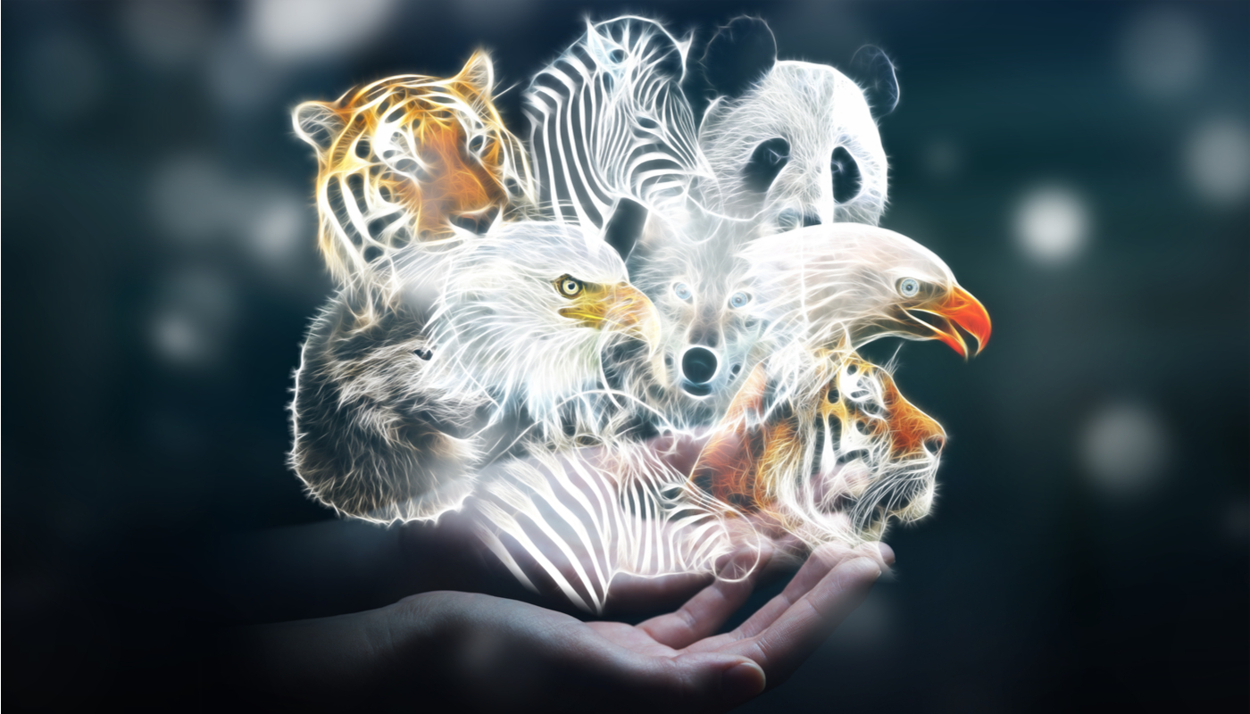 animales_en_peligro_de_extincion_que_se_han_recuperado animales_en_peligro_de_extincion_que_se_han_recuperado